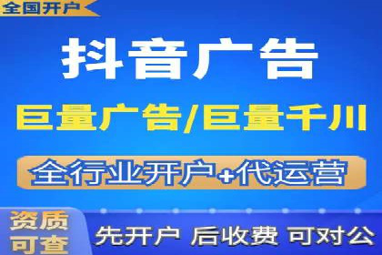 搜索引擎营销（SEM）的投放策略与效果评估——以某行业领先企业的案例分析